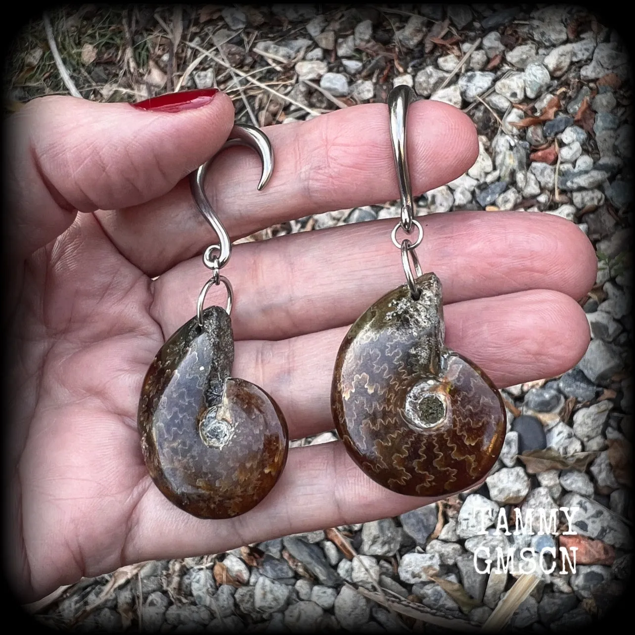 Ammonite gauged earrings-Fossil ear weights