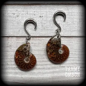 Ammonite gauged earrings-Fossil ear weights
