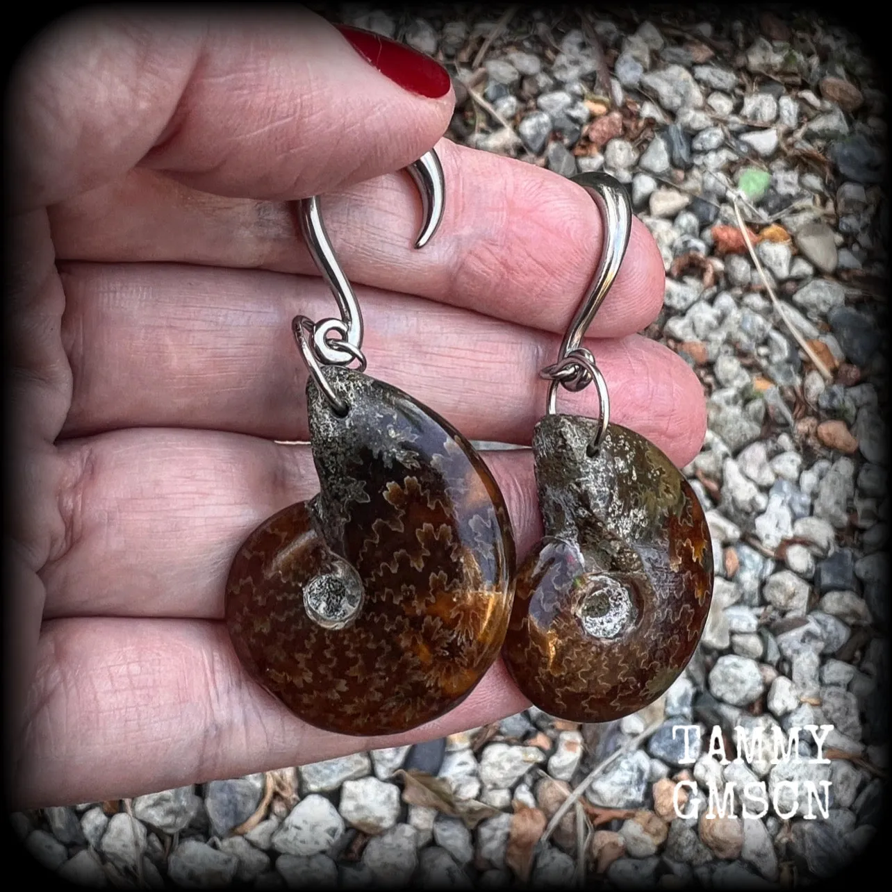 Ammonite gauged earrings-Fossil ear weights