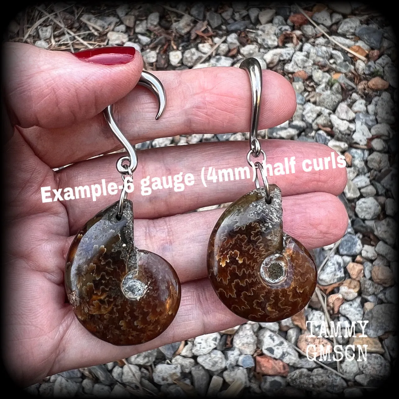 Ammonite gauged earrings-Fossil ear weights