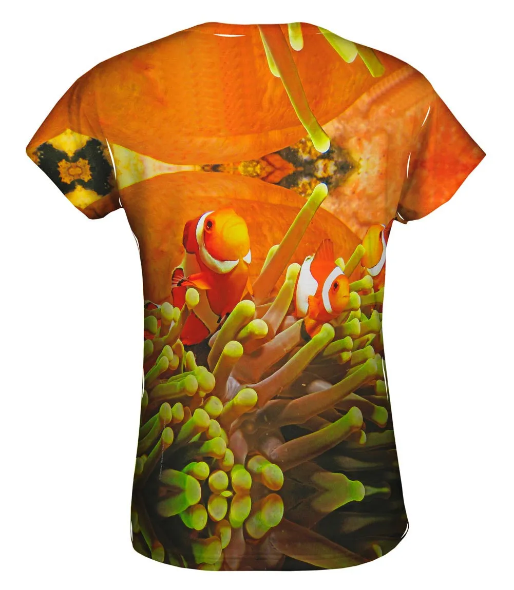 Anemone Fish Underwater