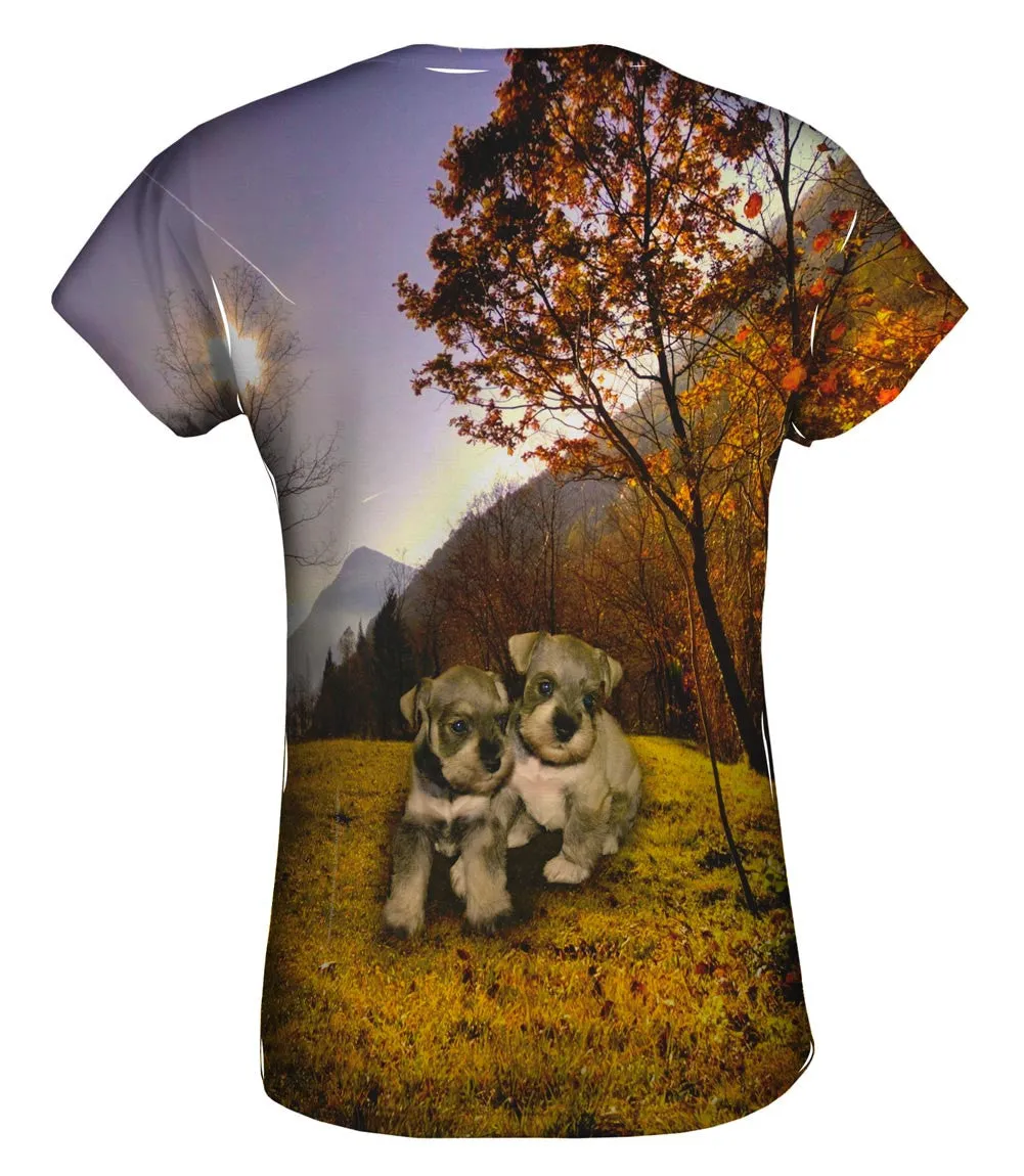 Autumn Leaves Grey Schnauzer Puppies
