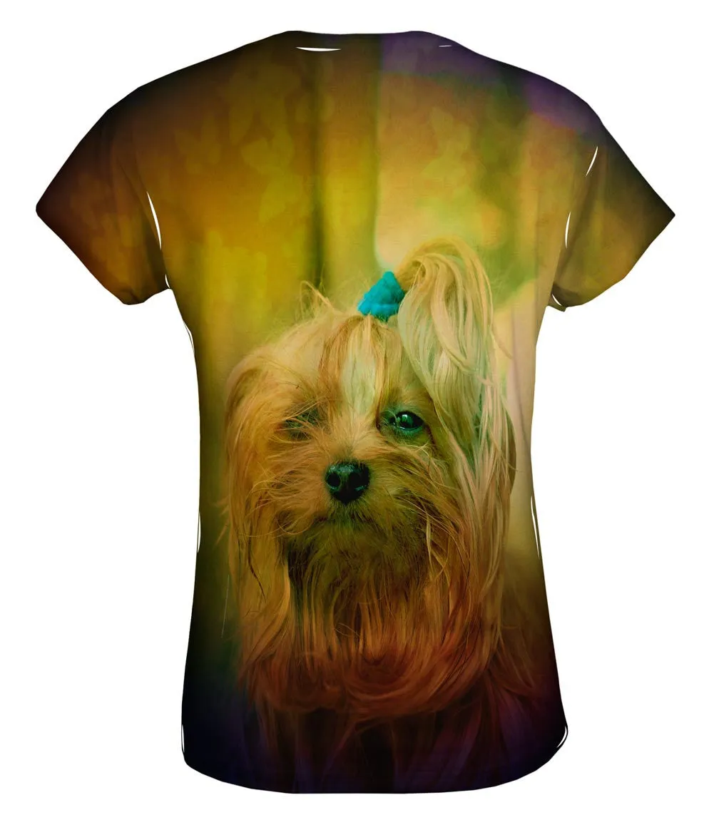 Blink Yorkie Puppy