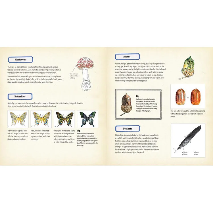 Curious Nature Coloring Journal