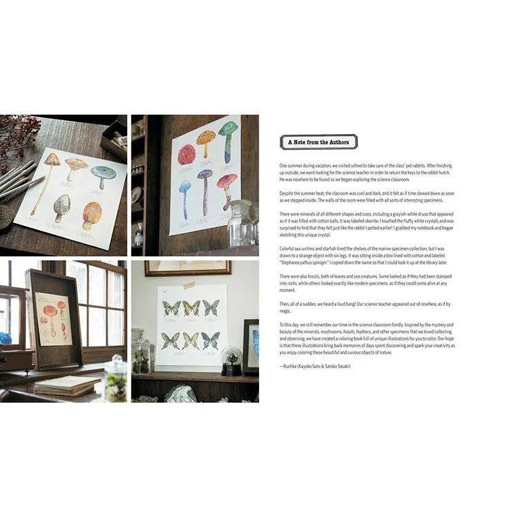 Curious Nature Coloring Journal
