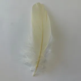Goose Nagoire Feathers 10 grams - Dark Ivory