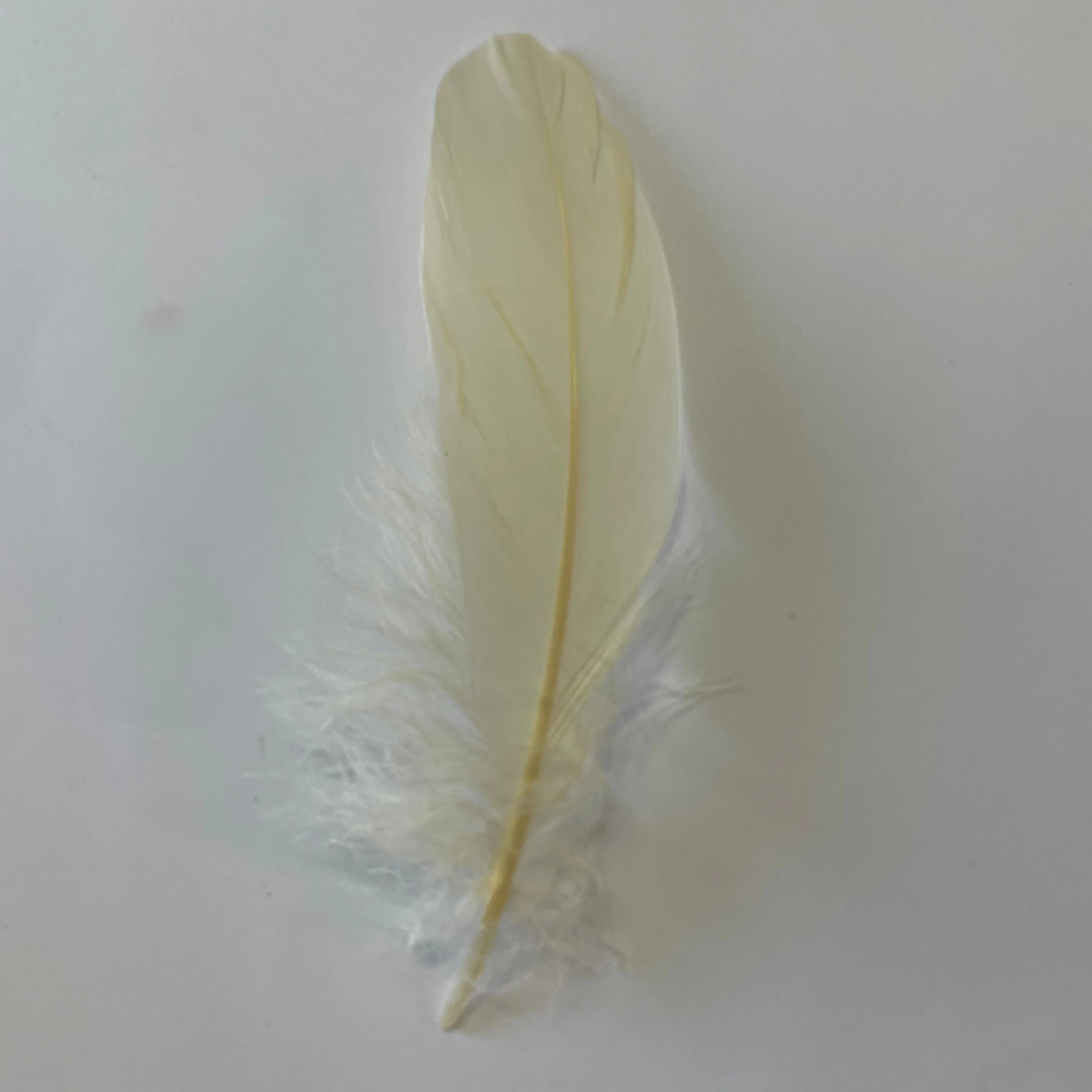 Goose Nagoire Feathers 10 grams - Dark Ivory