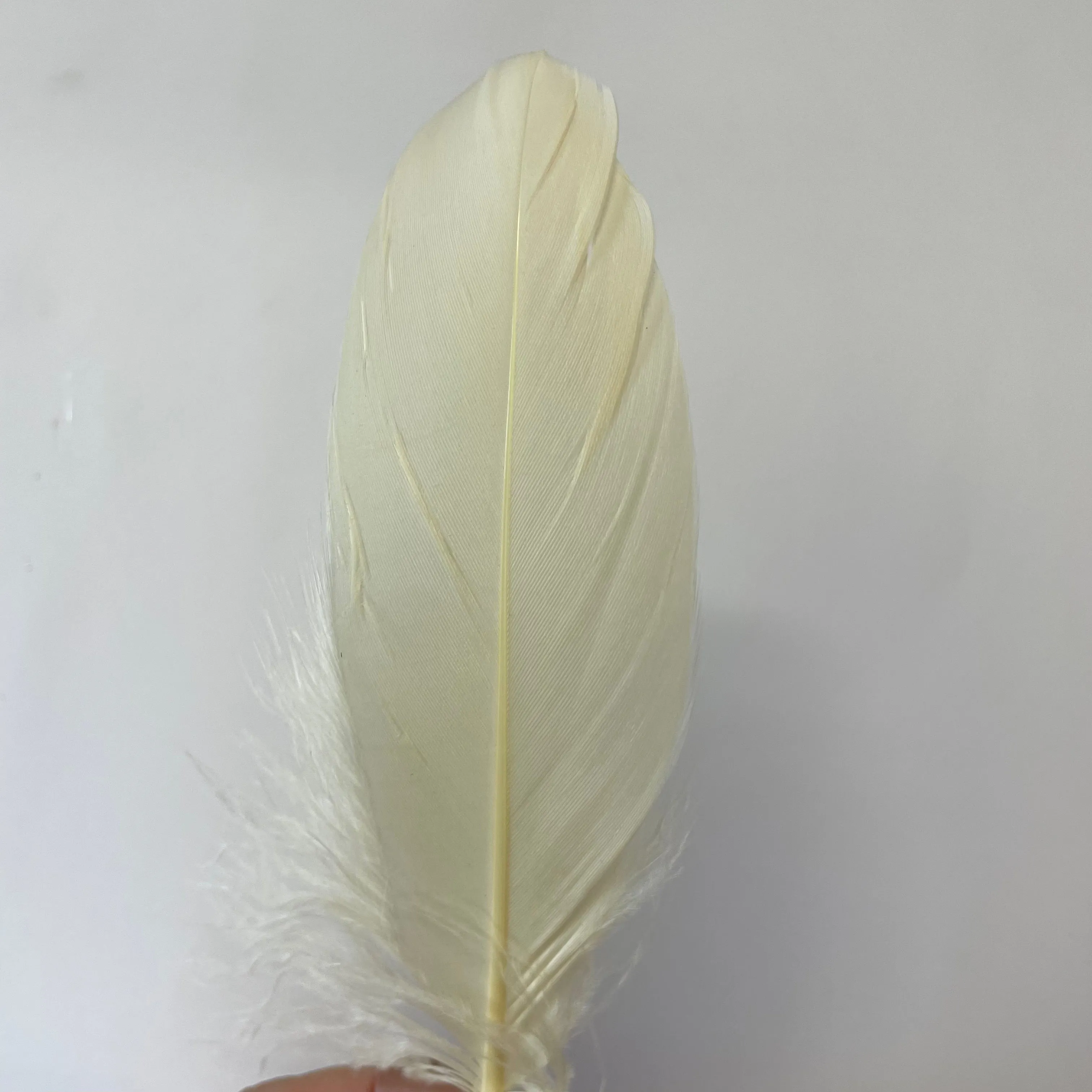 Goose Nagoire Feathers 10 grams - Dark Ivory