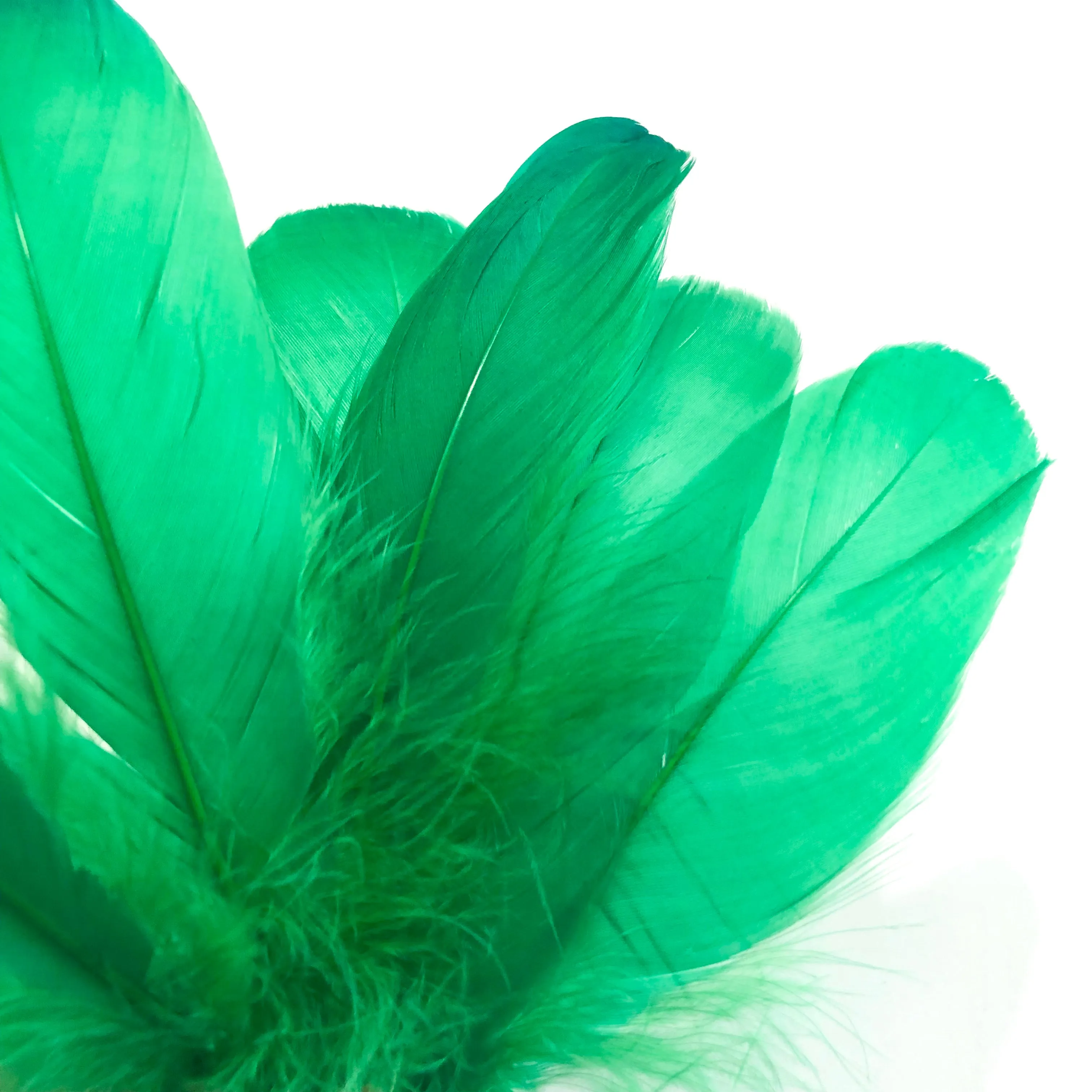 Goose Nagoire Feathers 10 grams - Green