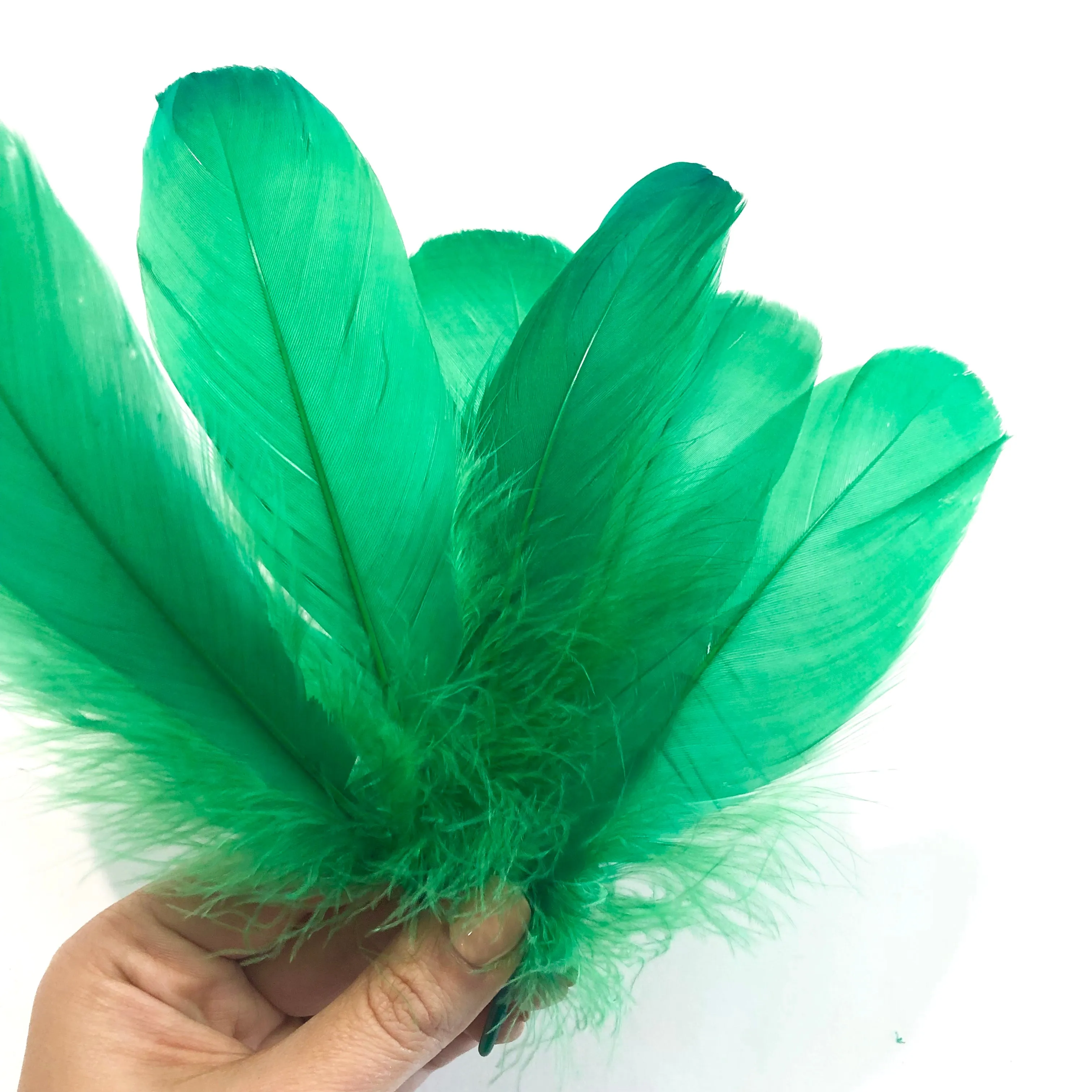 Goose Nagoire Feathers 10 grams - Green