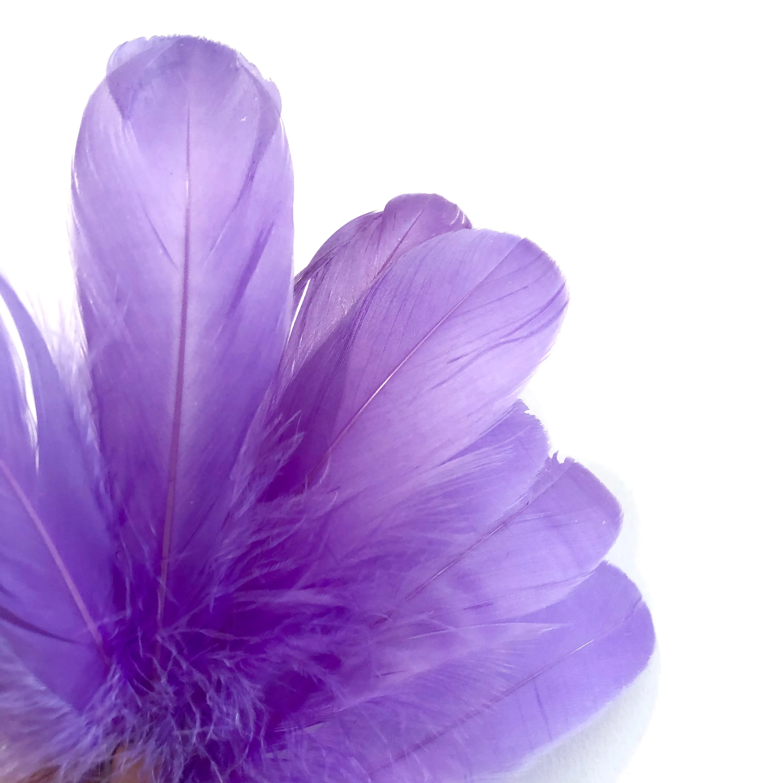 Goose Nagoire Feathers 10 grams - Purple