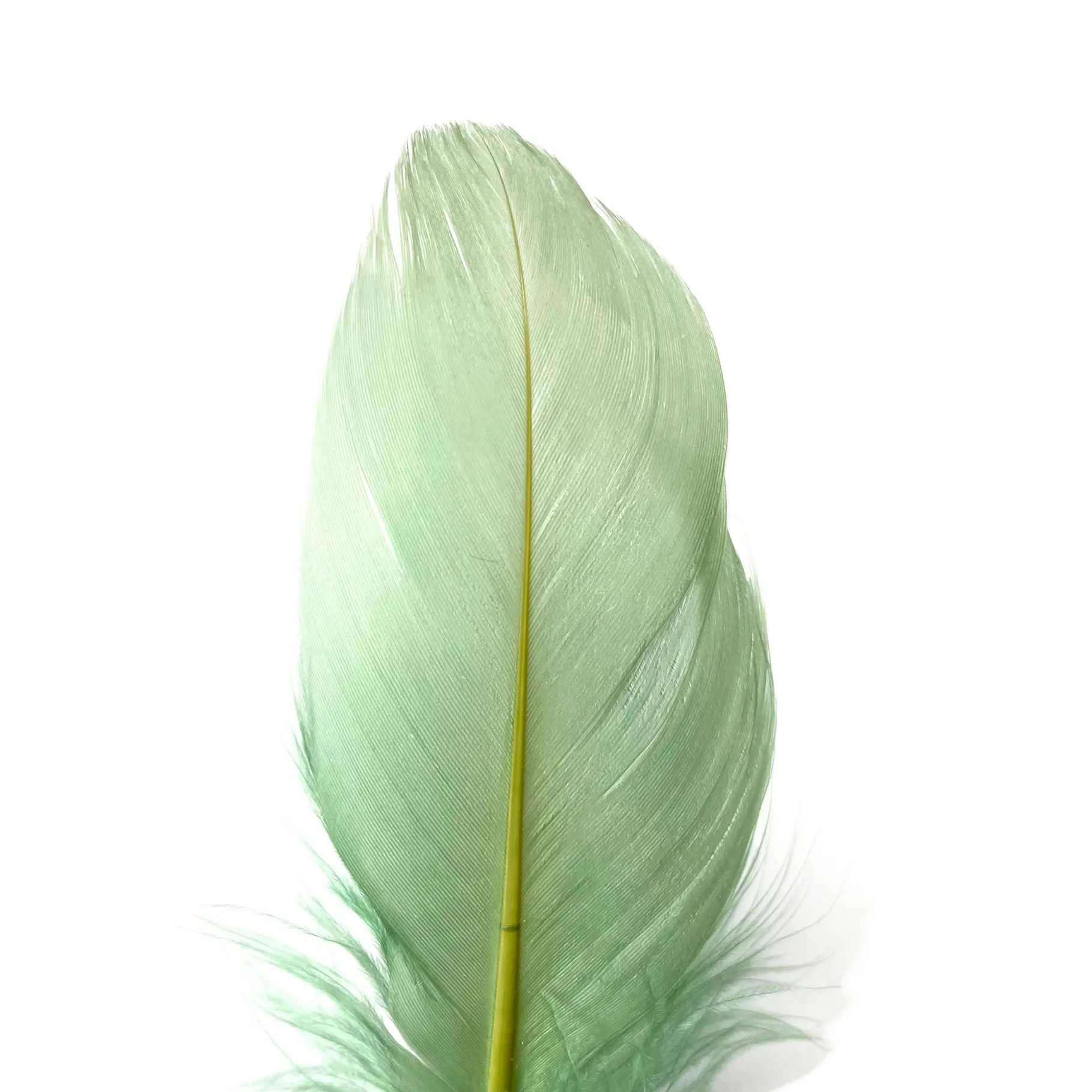 Goose Nagoire Feathers 10 grams - Sage