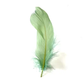 Goose Nagoire Feathers 10 grams - Sage