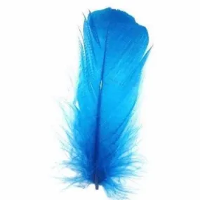 Goose Nagoire Feathers 10 grams - Turquoise
