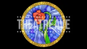 Rose Window Projection